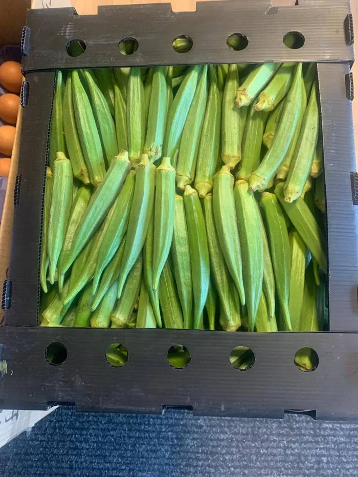 OKRA
