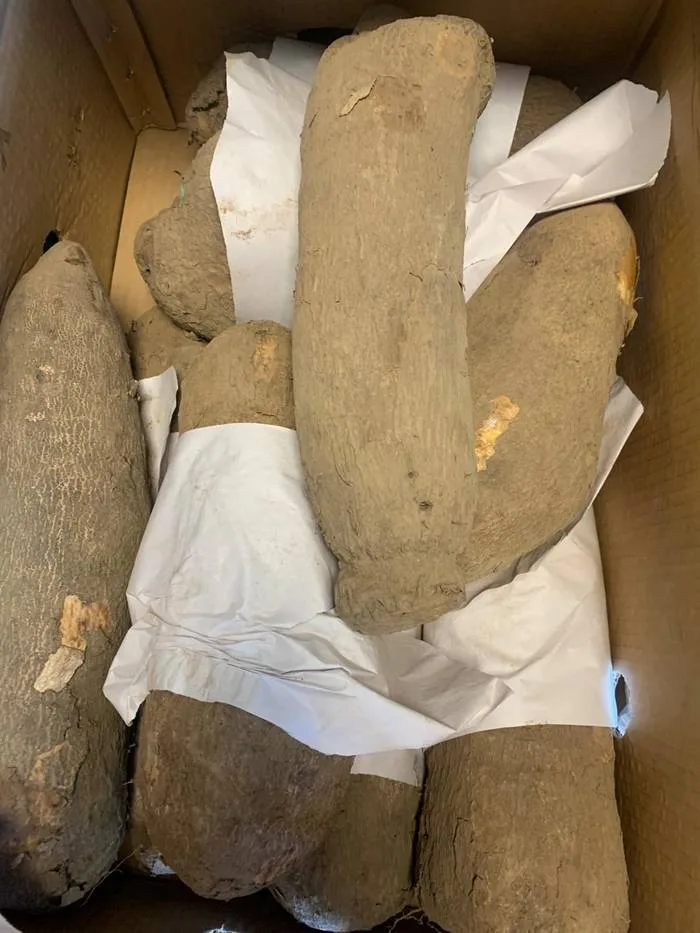 yam half box