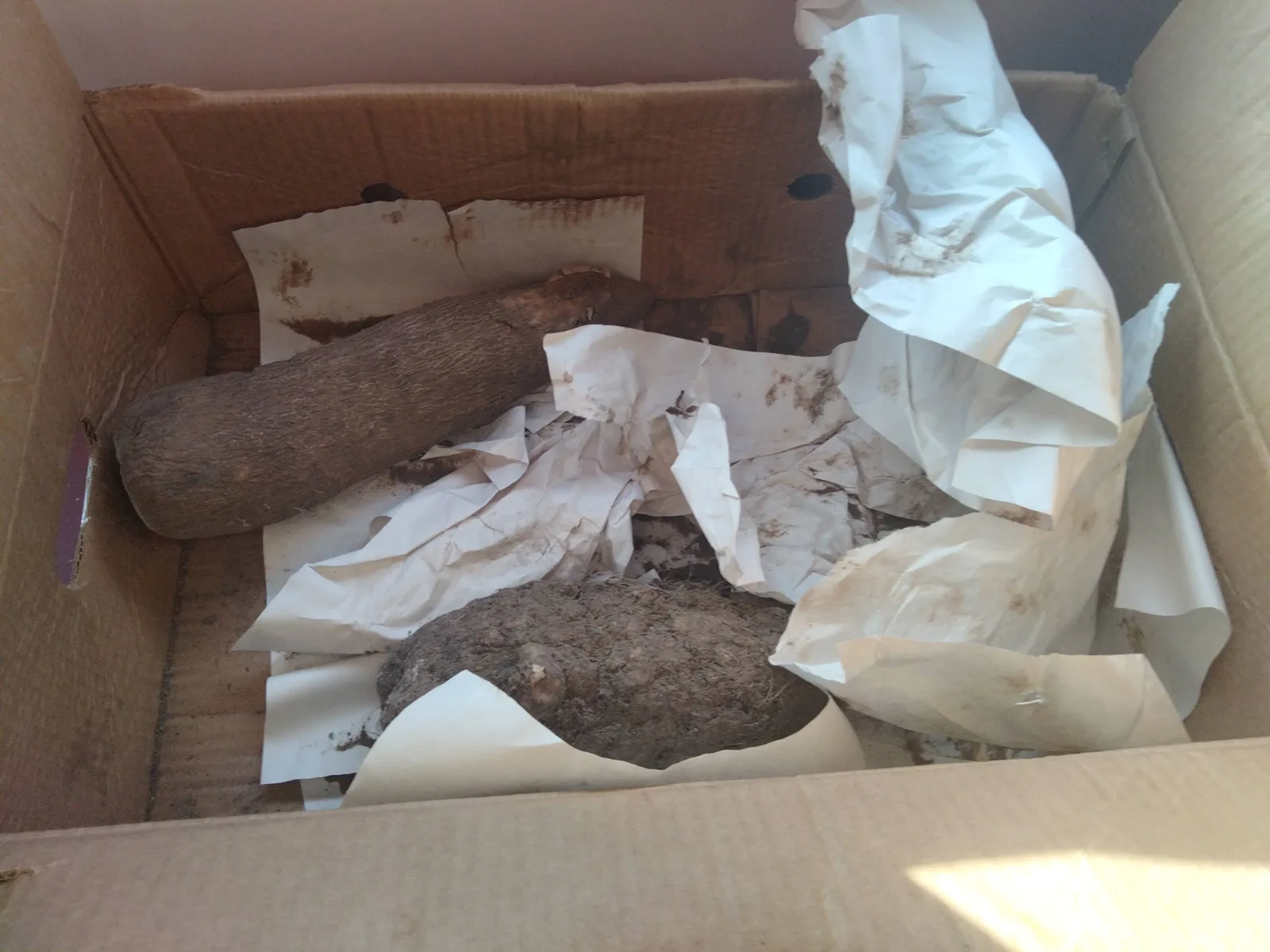 Box of fish